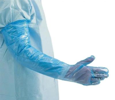 GL2950 Long Arm Blue Polythene Gauntlet Gloves